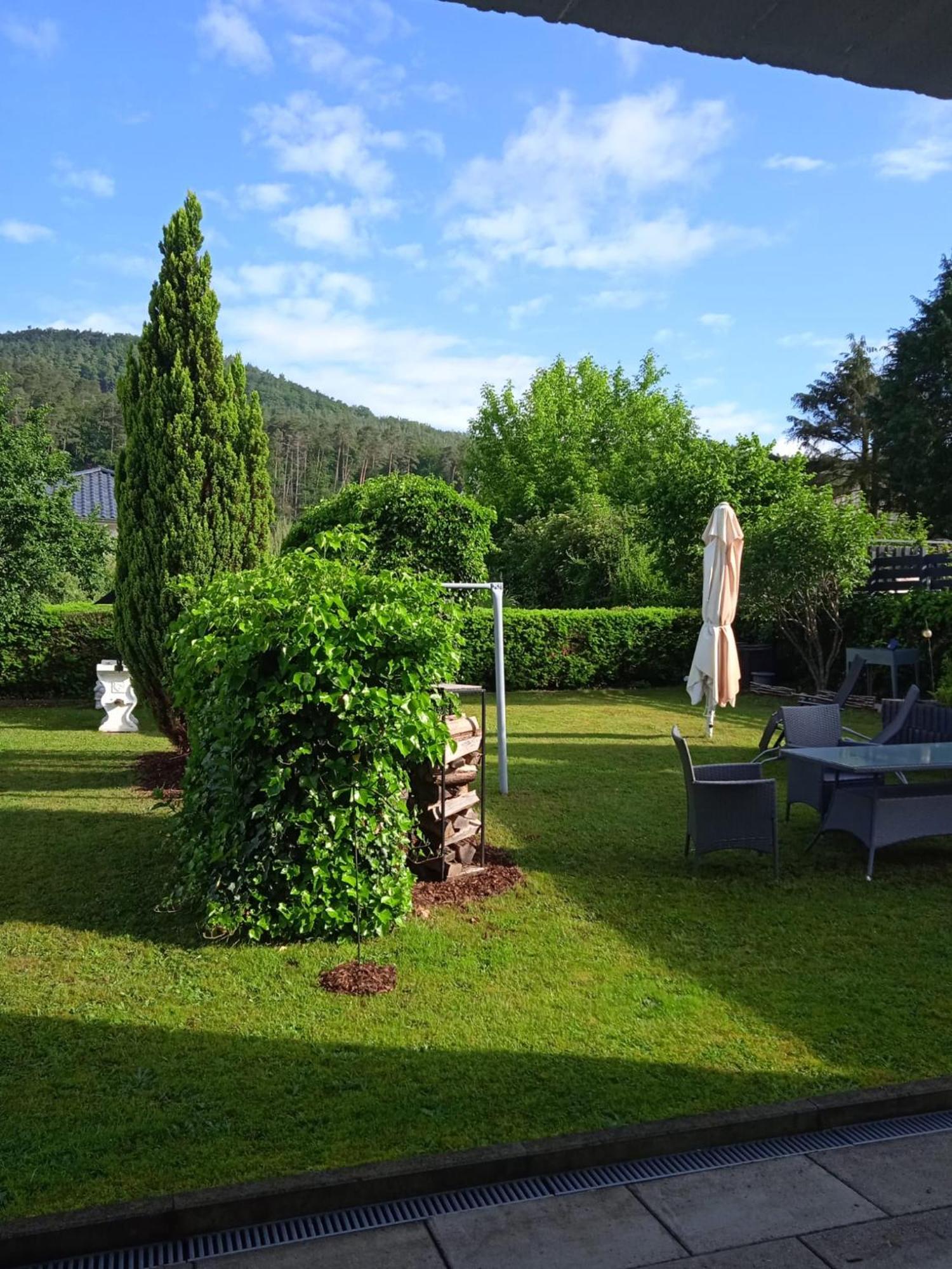 Ferienwohnung In Dahn Extérieur photo